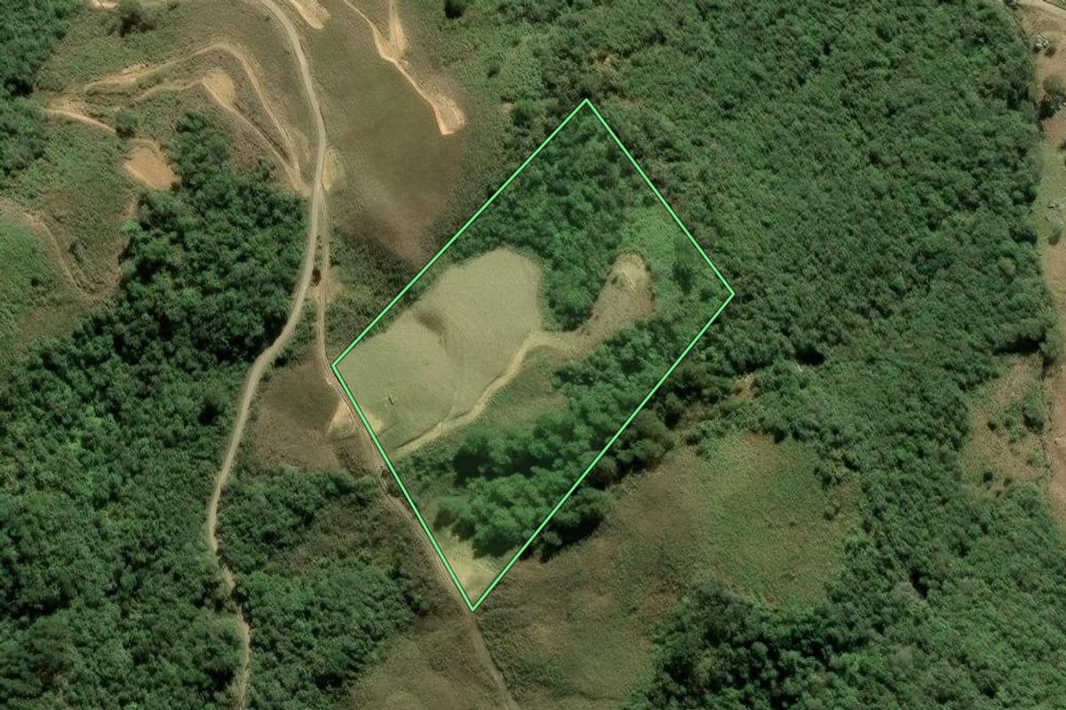 Imagem de satélite do imóvel rural em Alfredo Wagner (SC), com o contorno declarado no CAR desenhado por cima.