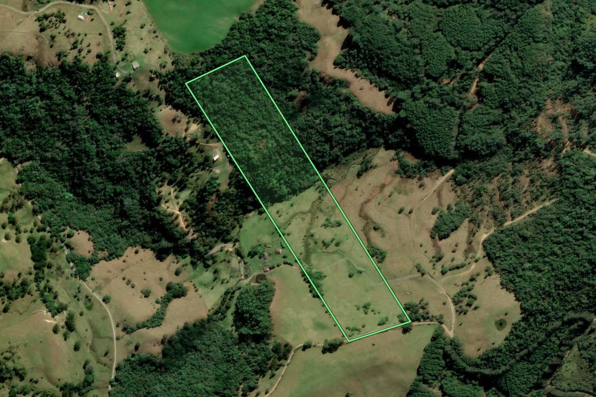 Imagem de satélite do imóvel rural em Alfredo Wagner (SC), com o contorno declarado no CAR desenhado por cima.