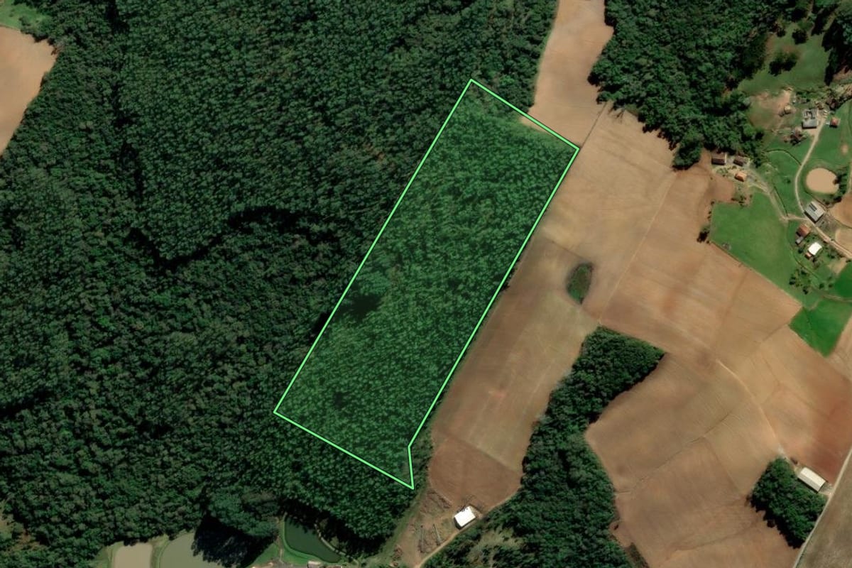 Imagem de satélite do imóvel rural em Alfredo Wagner (SC), com o contorno declarado no CAR desenhado por cima.