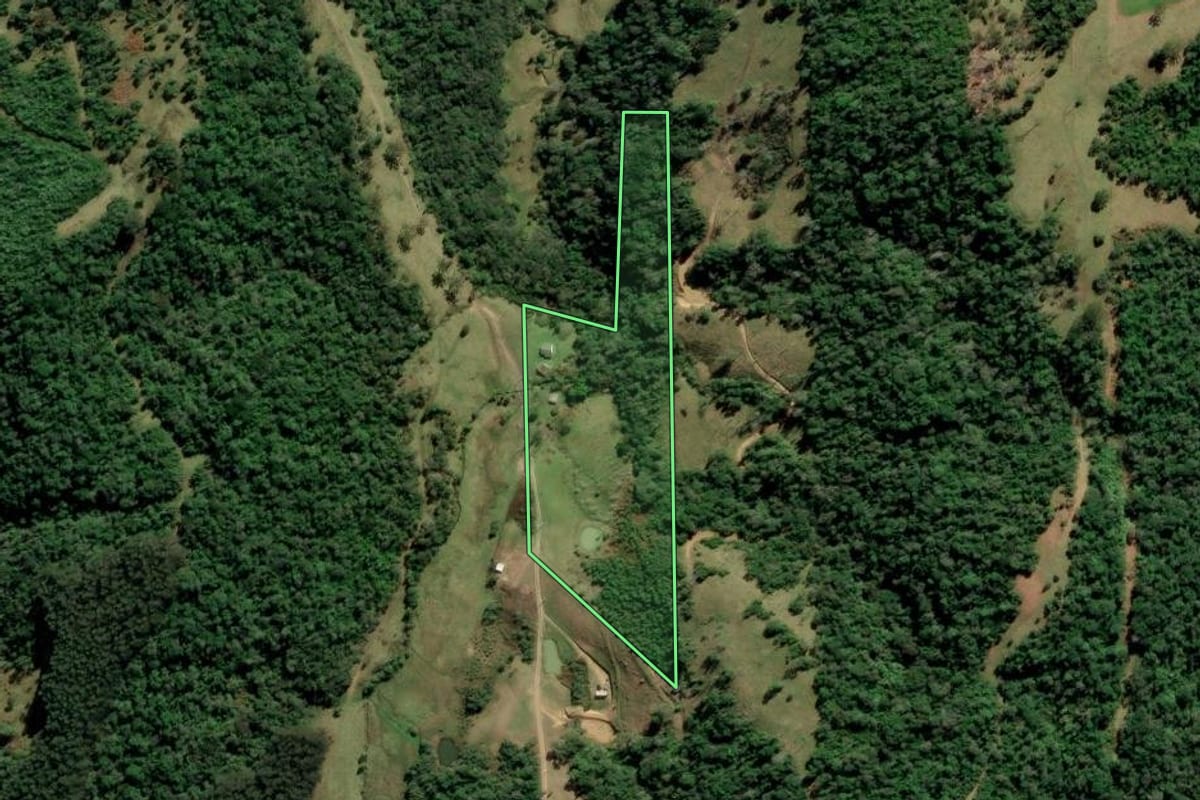 Imagem de satélite do imóvel rural em Alfredo Wagner (SC), com o contorno declarado no CAR desenhado por cima.