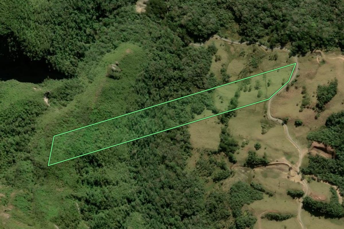 Imagem de satélite do imóvel rural em Alfredo Wagner (SC), com o contorno declarado no CAR desenhado por cima.