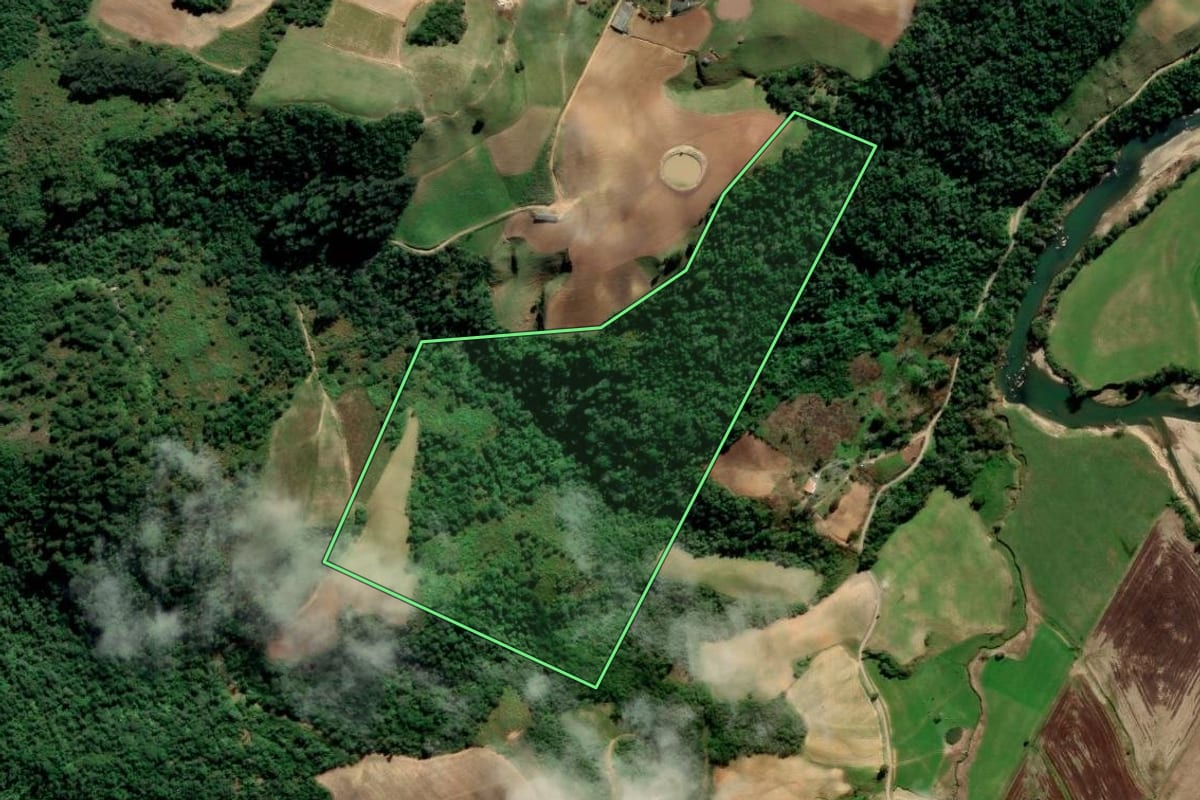 Imagem de satélite do imóvel rural em Alfredo Wagner (SC), com o contorno declarado no CAR desenhado por cima.