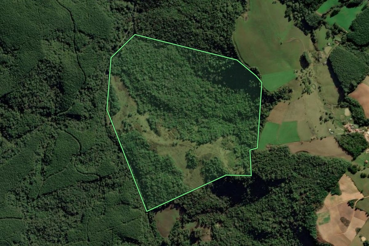 Imagem de satélite do imóvel rural em Alfredo Wagner (SC), com o contorno declarado no CAR desenhado por cima.
