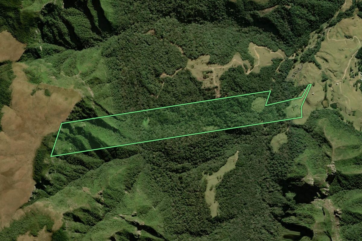 Imagem de satélite do imóvel rural em Alfredo Wagner (SC), com o contorno declarado no CAR desenhado por cima.