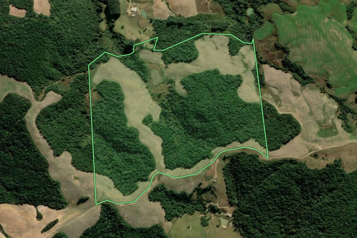 Imagem de satélite do imóvel rural em Alfredo Wagner (SC), com o contorno declarado no CAR desenhado por cima.
