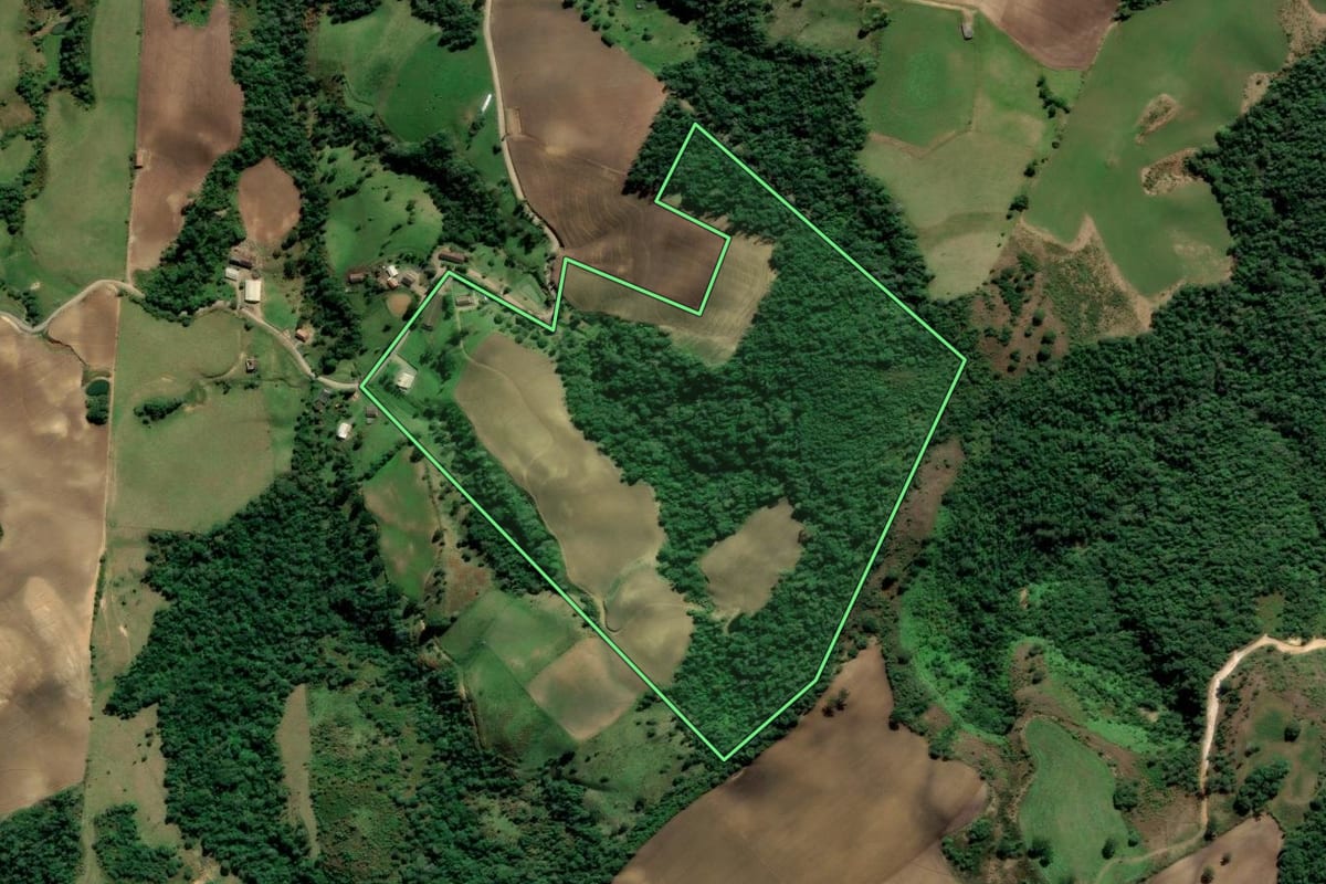 Imagem de satélite do imóvel rural em Alfredo Wagner (SC), com o contorno declarado no CAR desenhado por cima.