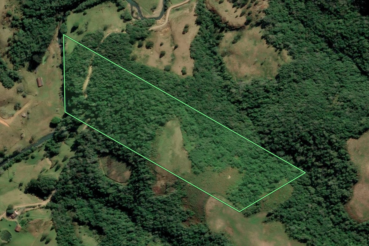 Imagem de satélite do imóvel rural em Alfredo Wagner (SC), com o contorno declarado no CAR desenhado por cima.