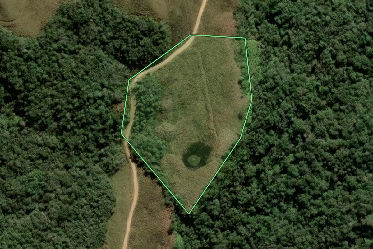 Imagem de satélite do imóvel rural em Alfredo Wagner (SC), com o contorno declarado no CAR desenhado por cima.