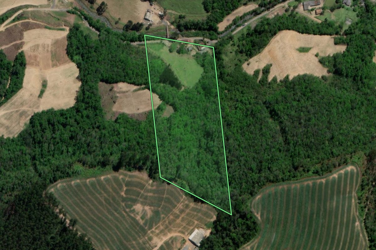 Imagem de satélite do imóvel rural em Alfredo Wagner (SC), com o contorno declarado no CAR desenhado por cima.
