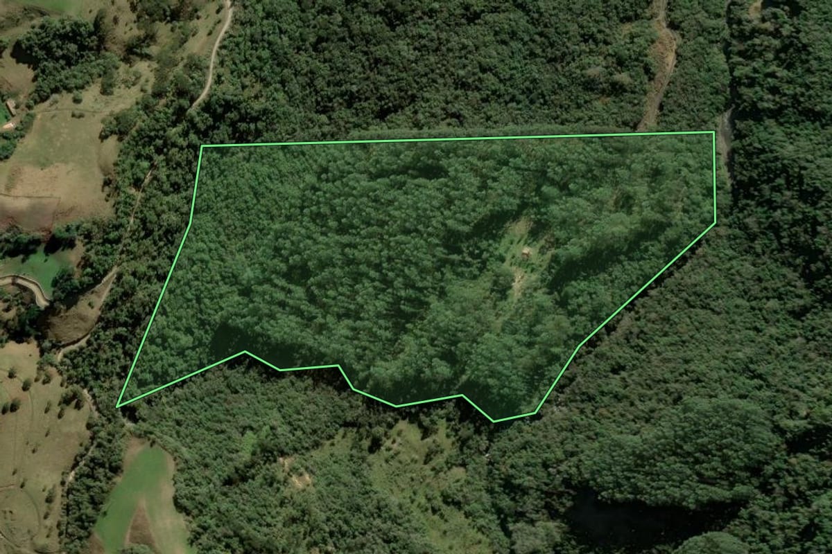 Imagem de satélite do imóvel rural em Alfredo Wagner (SC), com o contorno declarado no CAR desenhado por cima.