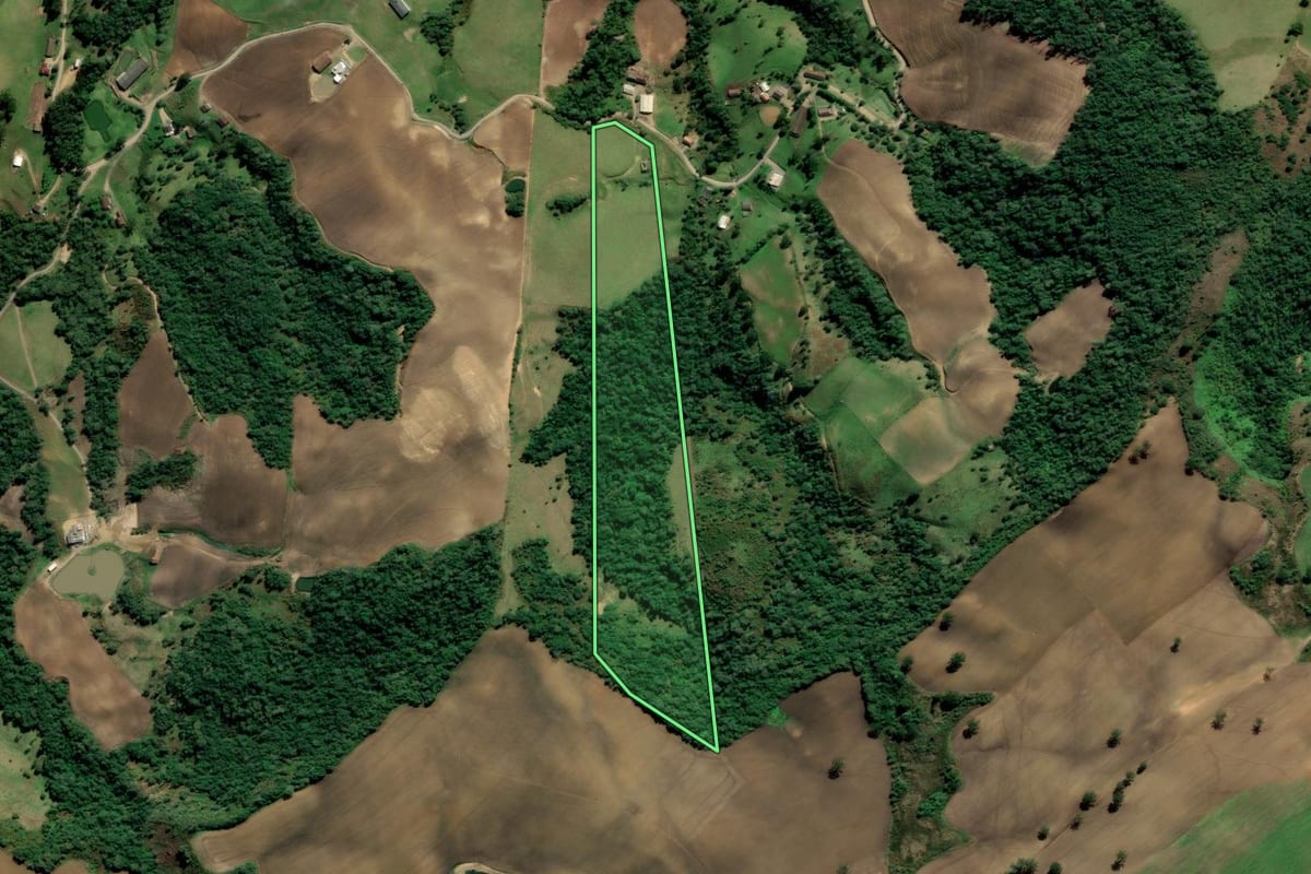 Imagem de satélite do imóvel rural em Alfredo Wagner (SC), com o contorno declarado no CAR desenhado por cima.
