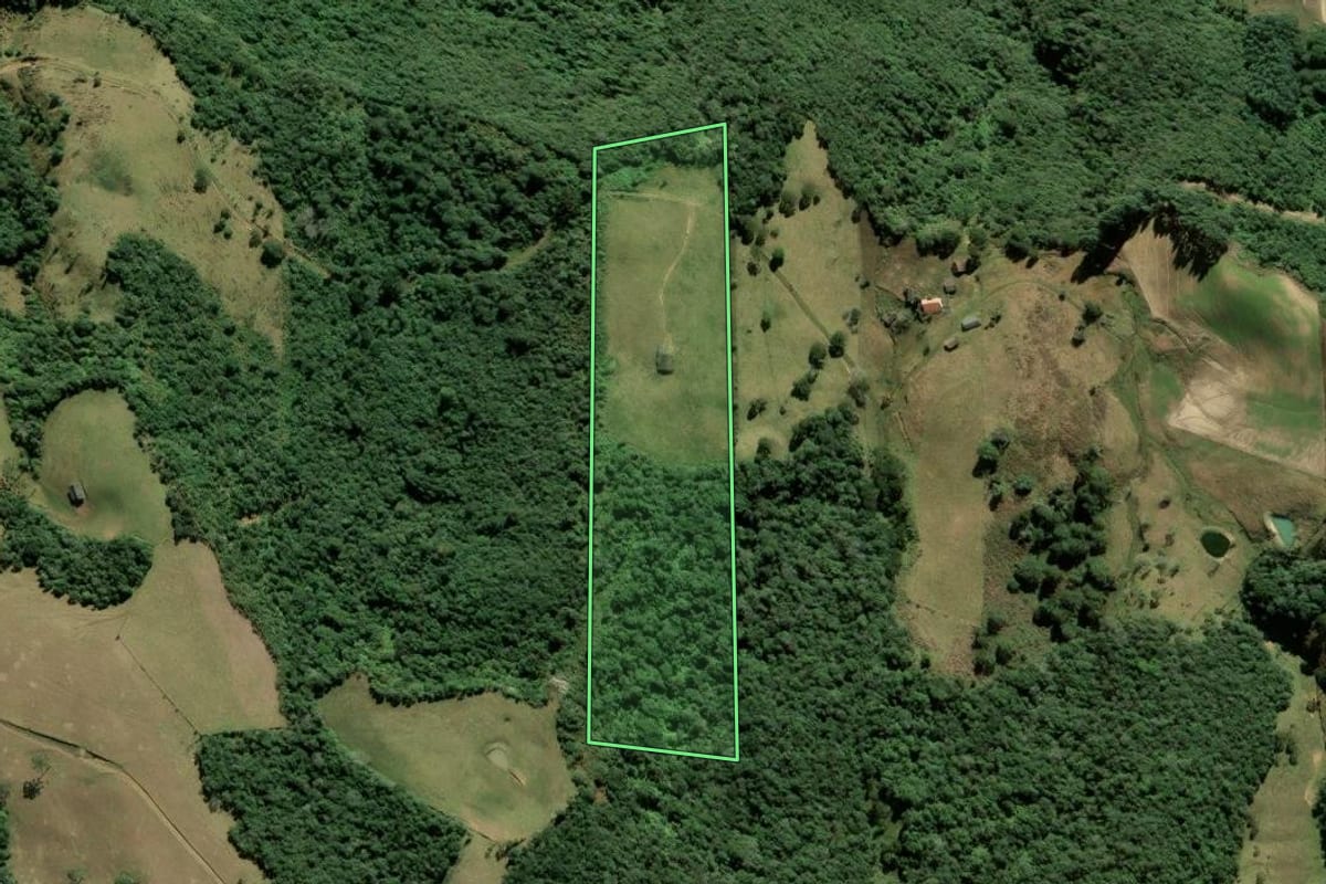 Imagem de satélite do imóvel rural em Alfredo Wagner (SC), com o contorno declarado no CAR desenhado por cima.