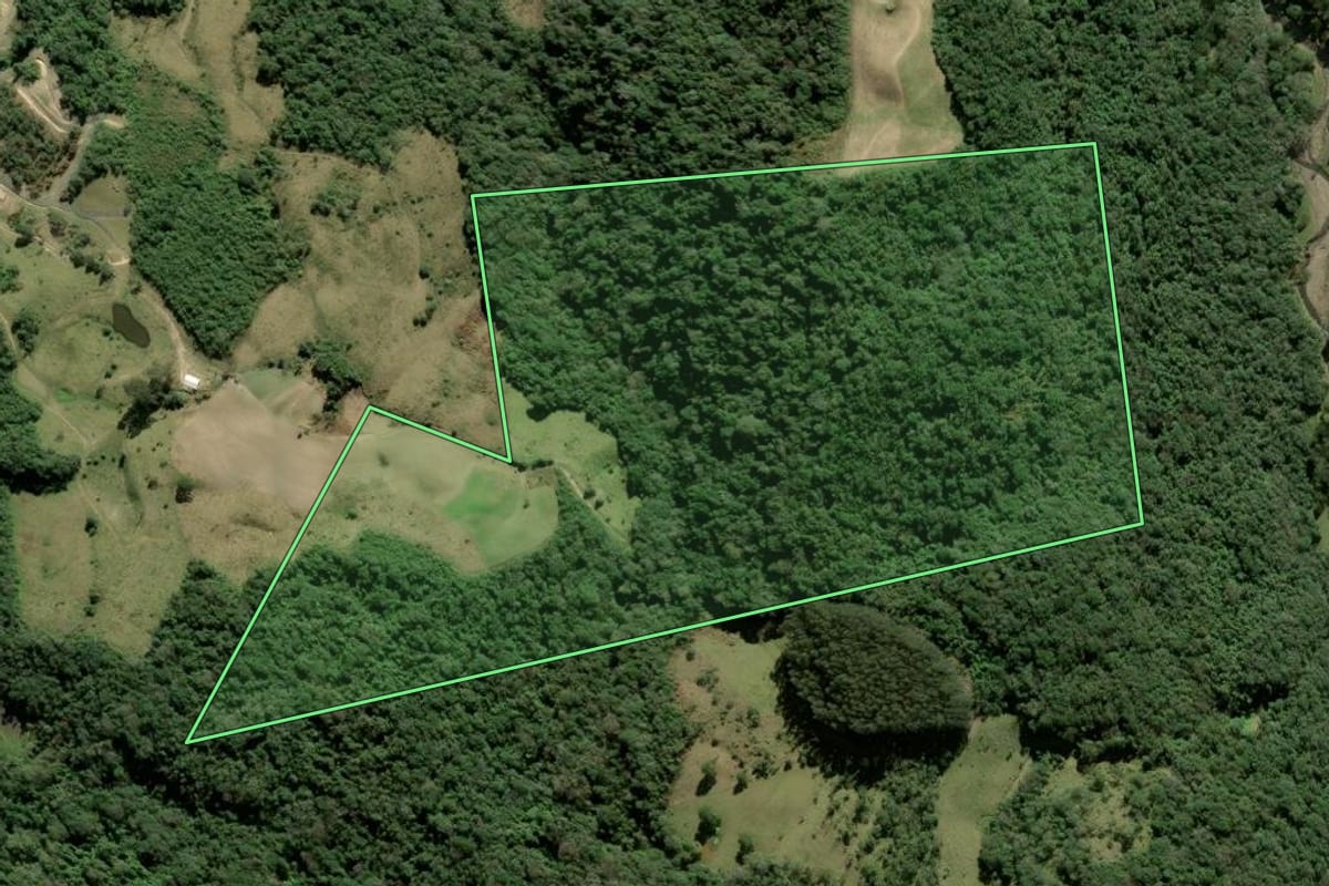 Imagem de satélite do imóvel rural em Alfredo Wagner (SC), com o contorno declarado no CAR desenhado por cima.