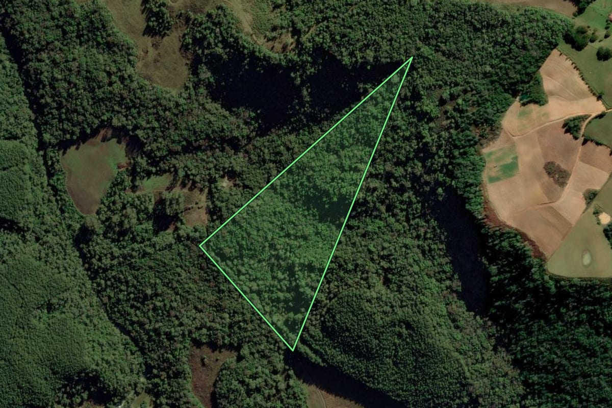 Imagem de satélite do imóvel rural em Alfredo Wagner (SC), com o contorno declarado no CAR desenhado por cima.