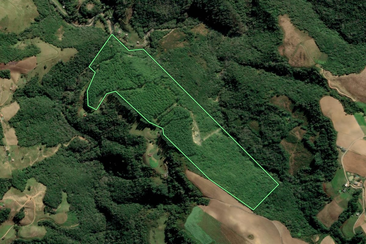 Imagem de satélite do imóvel rural em Alfredo Wagner (SC), com o contorno declarado no CAR desenhado por cima.