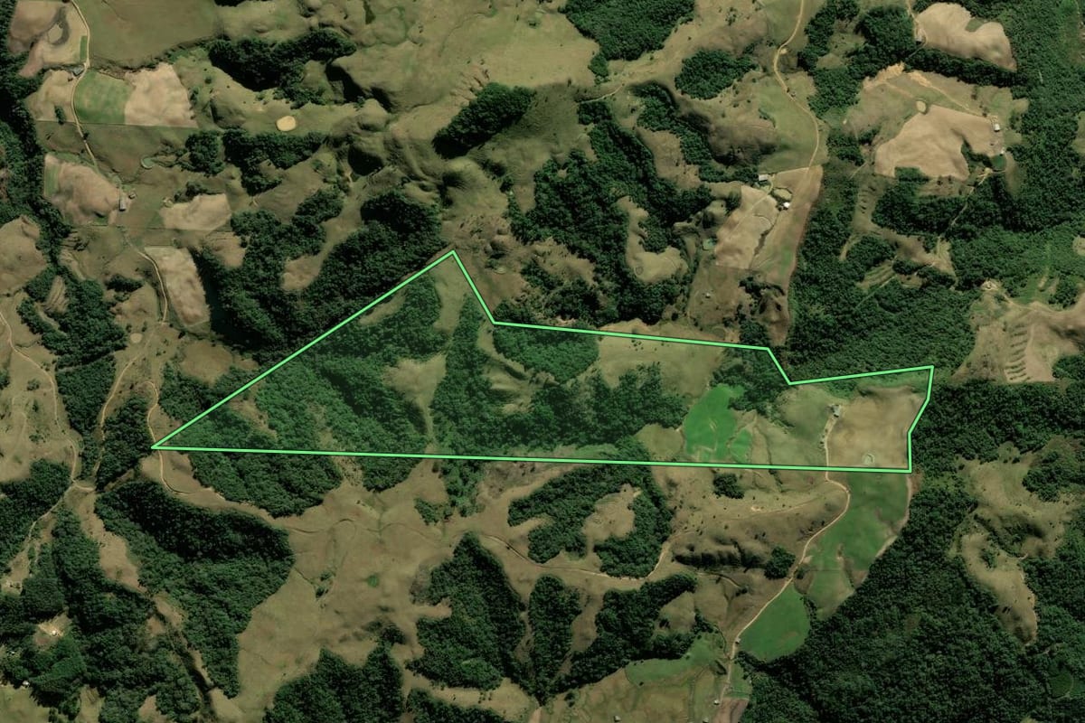 Imagem de satélite do imóvel rural em Alfredo Wagner (SC), com o contorno declarado no CAR desenhado por cima.