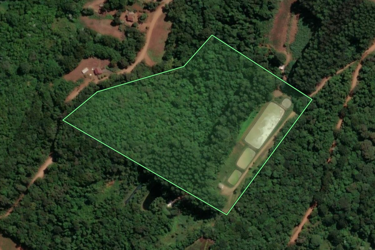 Imagem de satélite do imóvel rural em Alto Bela Vista (SC), com o contorno declarado no CAR desenhado por cima.