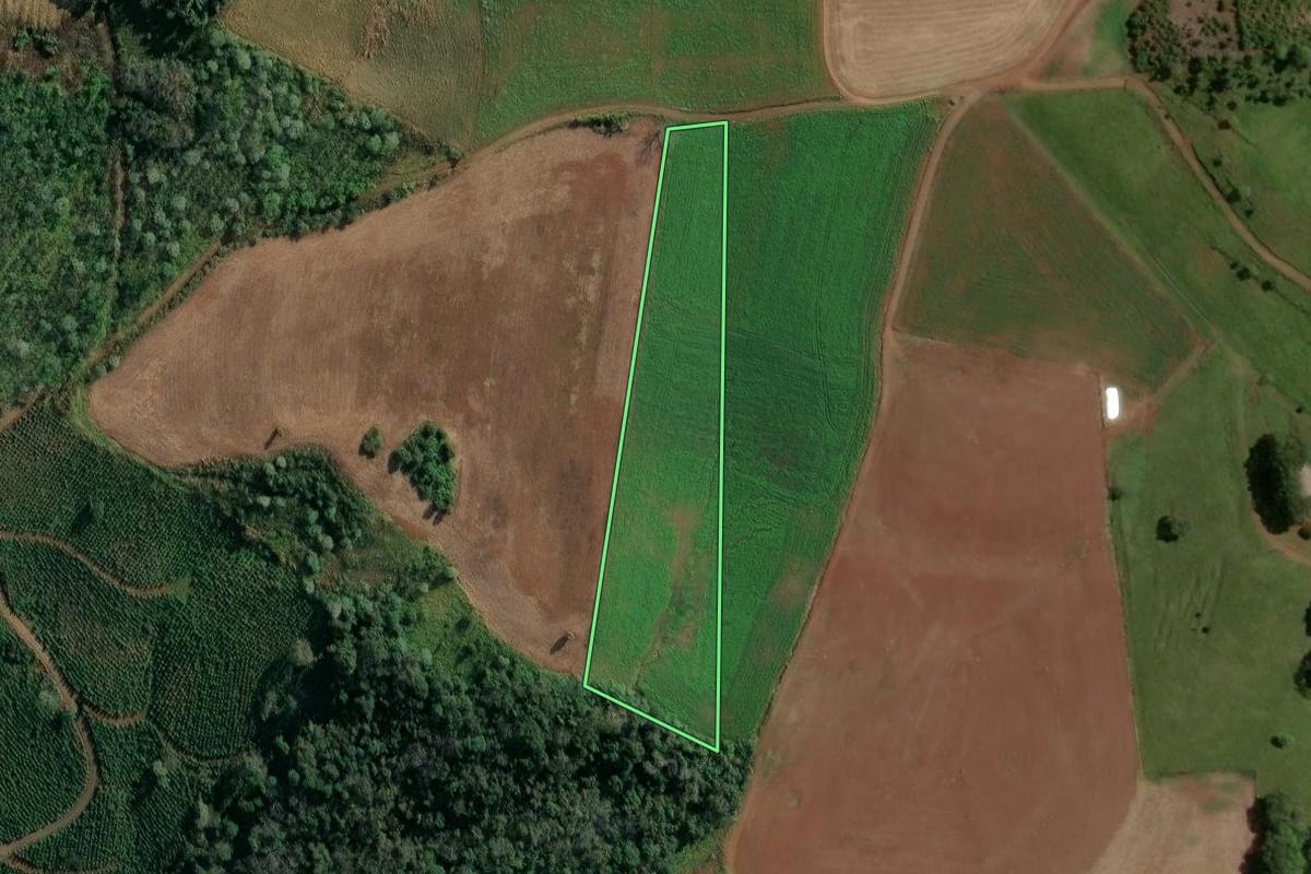 Imagem de satélite do imóvel rural em Alto Bela Vista (SC), com o contorno declarado no CAR desenhado por cima.
