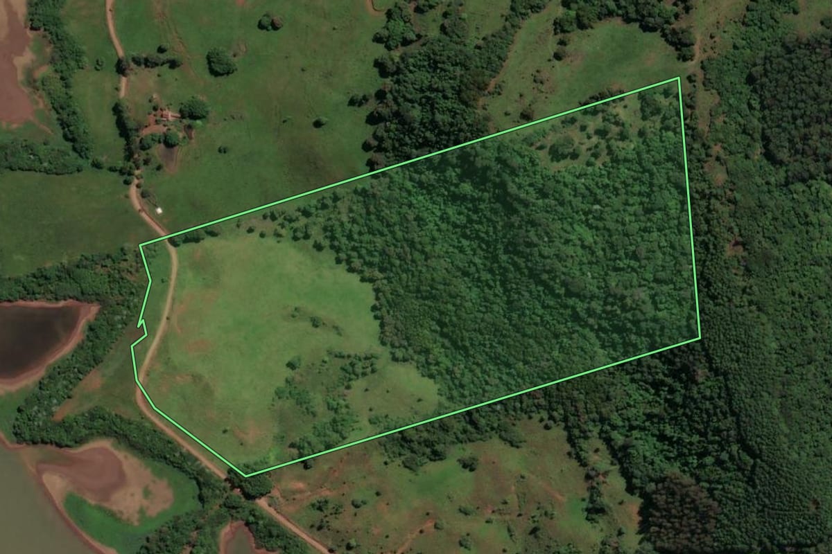 Imagem de satélite do imóvel rural em Alto Bela Vista (SC), com o contorno declarado no CAR desenhado por cima.