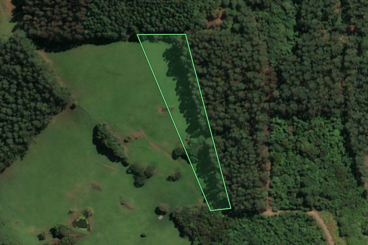 Imagem de satélite do imóvel rural em Alto Bela Vista (SC), com o contorno declarado no CAR desenhado por cima.