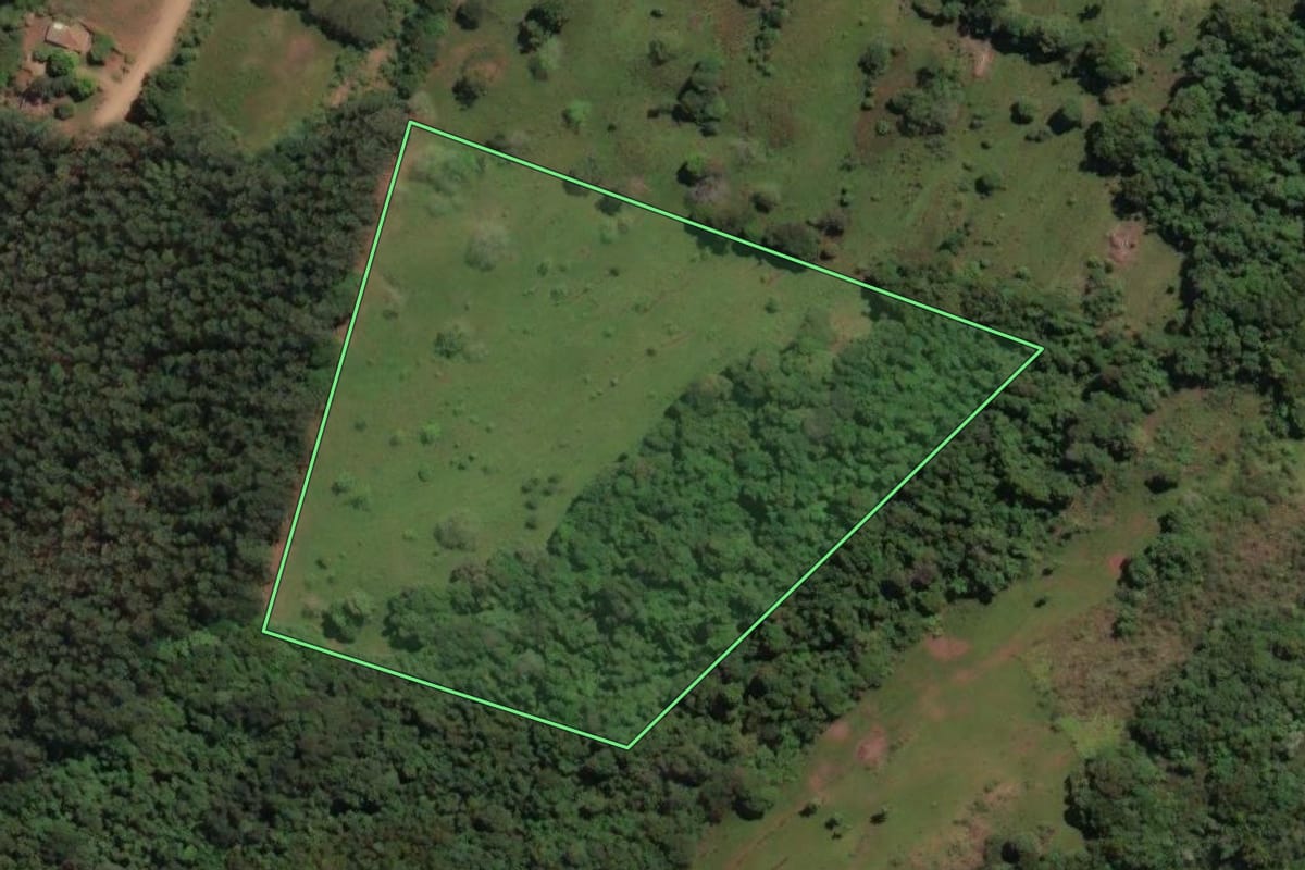 Imagem de satélite do imóvel rural em Alto Bela Vista (SC), com o contorno declarado no CAR desenhado por cima.