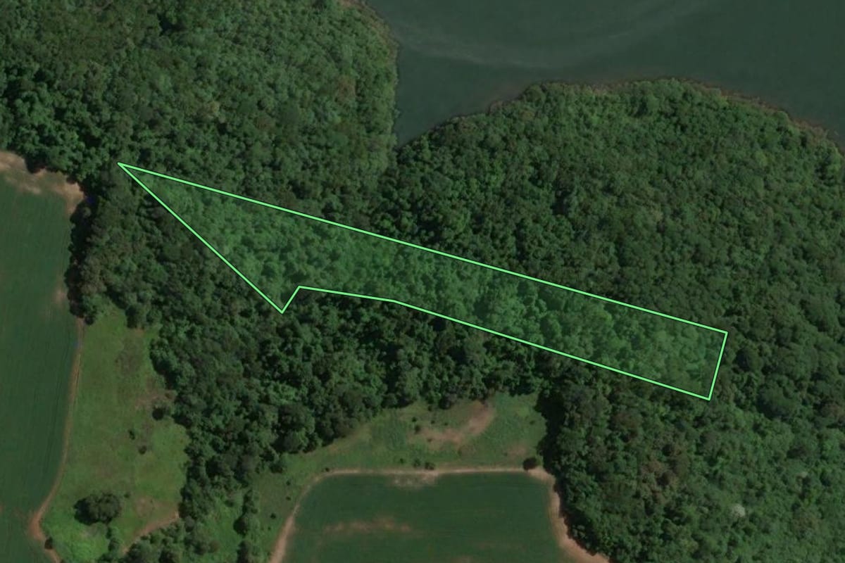 Imagem de satélite do imóvel rural em Alto Bela Vista (SC), com o contorno declarado no CAR desenhado por cima.