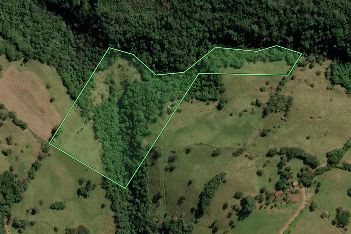 Imagem de satélite do imóvel rural em Anchieta (SC), com o contorno declarado no CAR desenhado por cima.