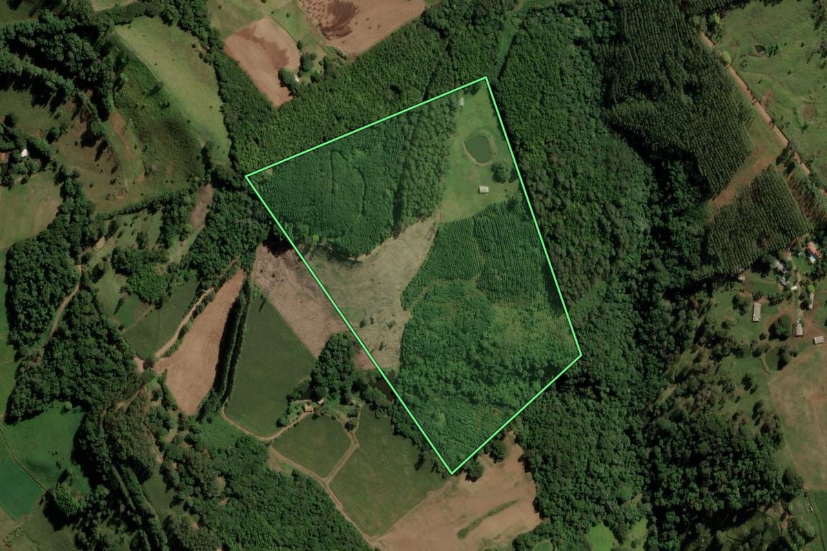 Imagem de satélite do imóvel rural em Anchieta (SC), com o contorno declarado no CAR desenhado por cima.