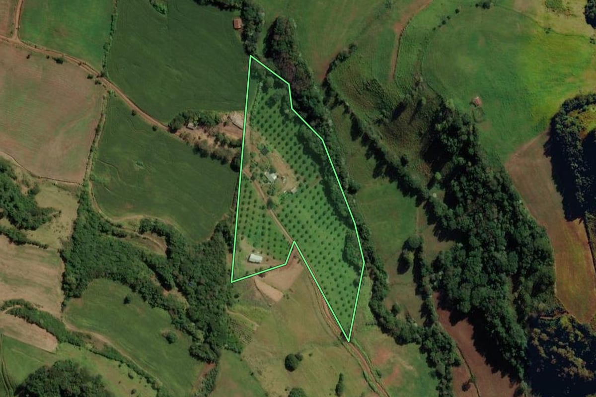 Imagem de satélite do imóvel rural em Anchieta (SC), com o contorno declarado no CAR desenhado por cima.