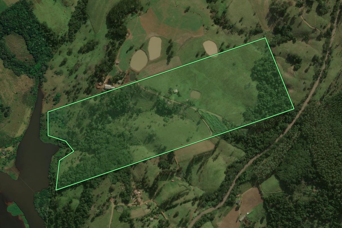 Imagem de satélite do imóvel rural em Anchieta (SC), com o contorno declarado no CAR desenhado por cima.