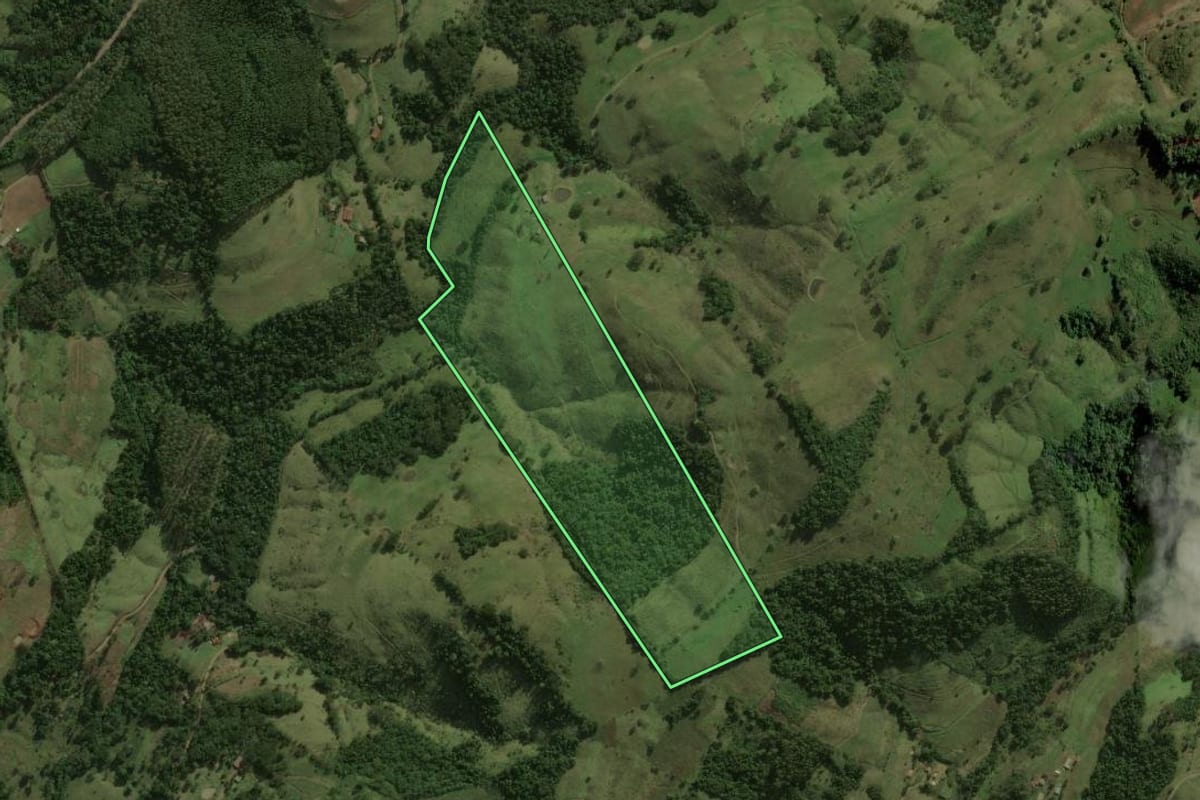 Imagem de satélite do imóvel rural em Anchieta (SC), com o contorno declarado no CAR desenhado por cima.