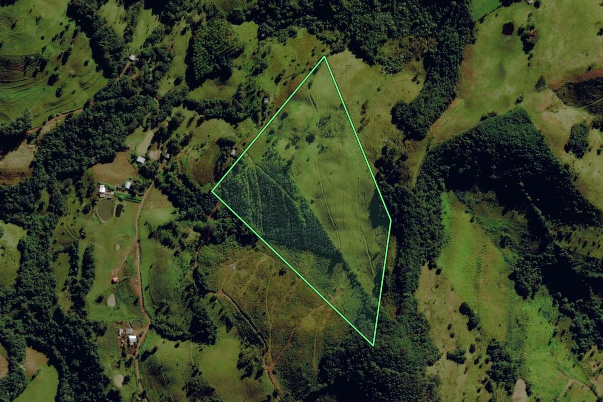 Imagem de satélite do imóvel rural em Anchieta (SC), com o contorno declarado no CAR desenhado por cima.