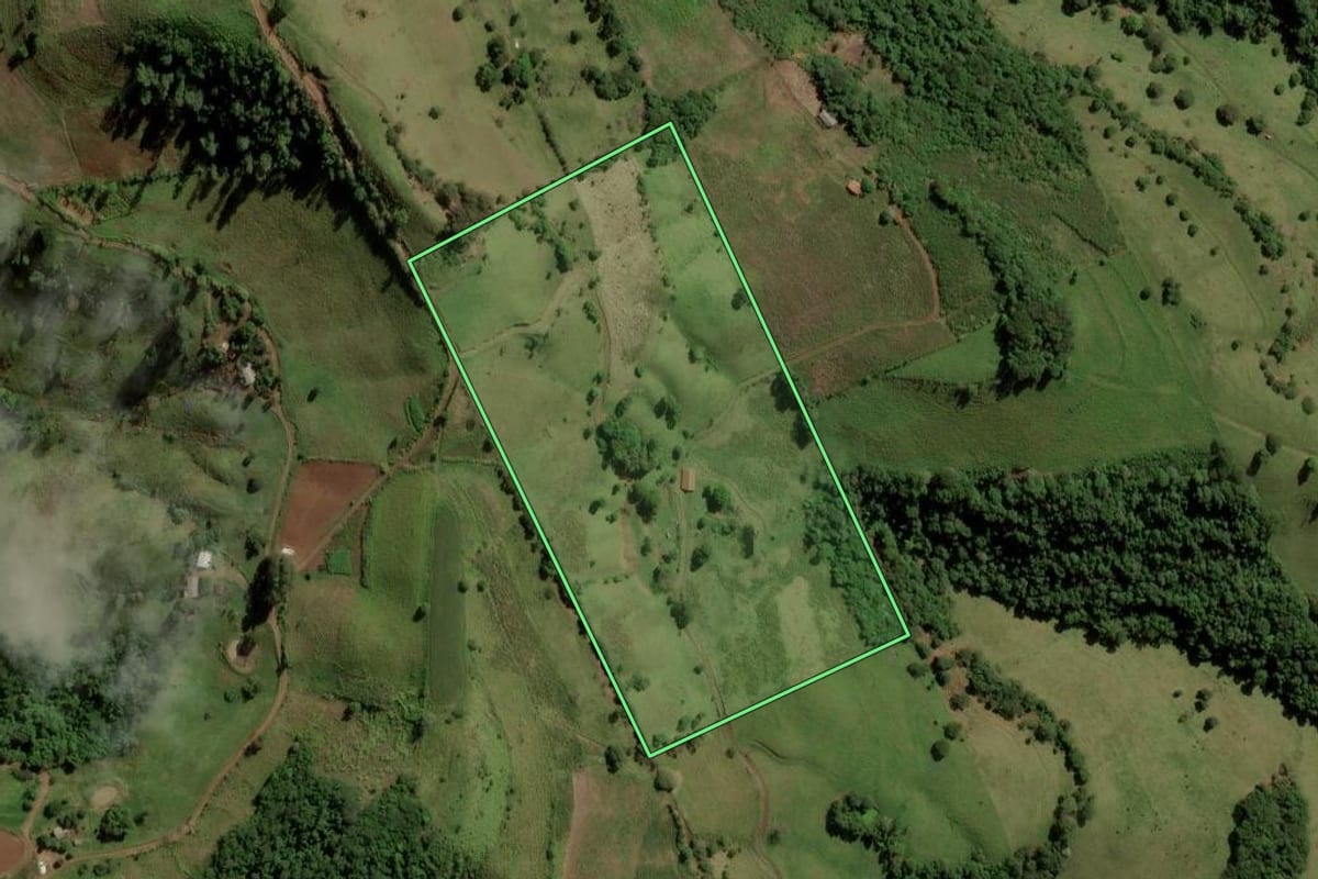 Imagem de satélite do imóvel rural em Anchieta (SC), com o contorno declarado no CAR desenhado por cima.