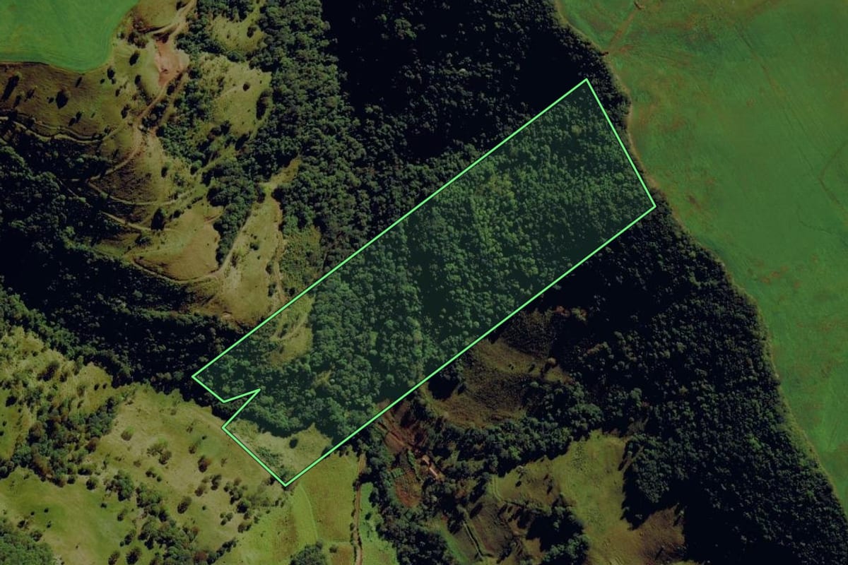 Imagem de satélite do imóvel rural em Anchieta (SC), com o contorno declarado no CAR desenhado por cima.