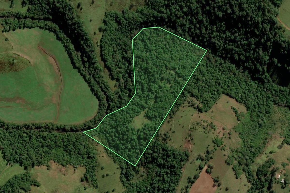 Imagem de satélite do imóvel rural em Anchieta (SC), com o contorno declarado no CAR desenhado por cima.