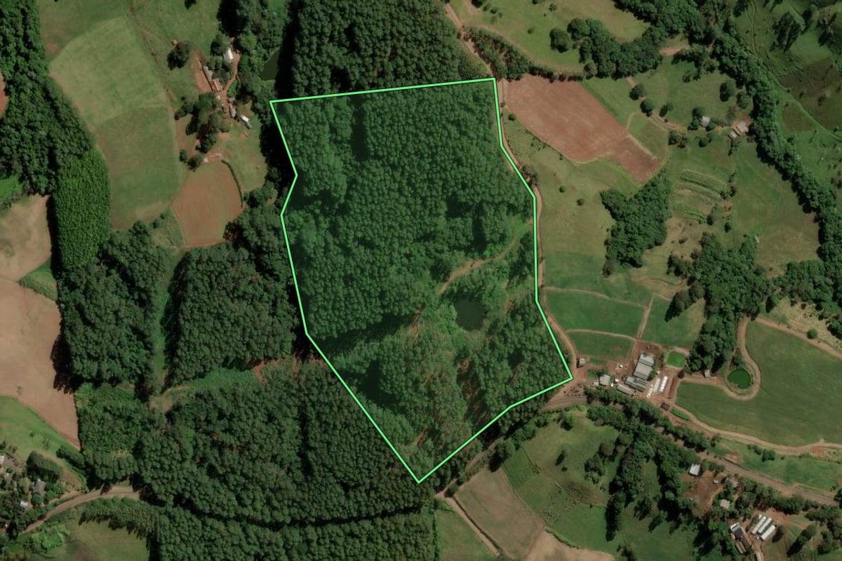 Imagem de satélite do imóvel rural em Anchieta (SC), com o contorno declarado no CAR desenhado por cima.