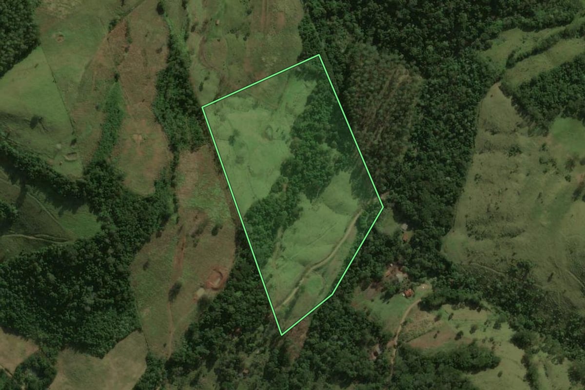 Imagem de satélite do imóvel rural em Anchieta (SC), com o contorno declarado no CAR desenhado por cima.