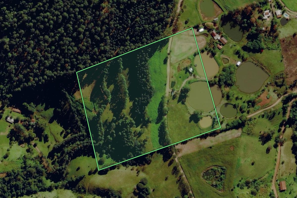 Imagem de satélite do imóvel rural em Anchieta (SC), com o contorno declarado no CAR desenhado por cima.