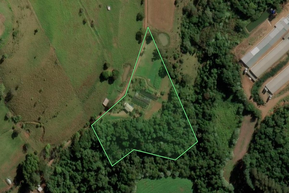 Imagem de satélite do imóvel rural em Anchieta (SC), com o contorno declarado no CAR desenhado por cima.