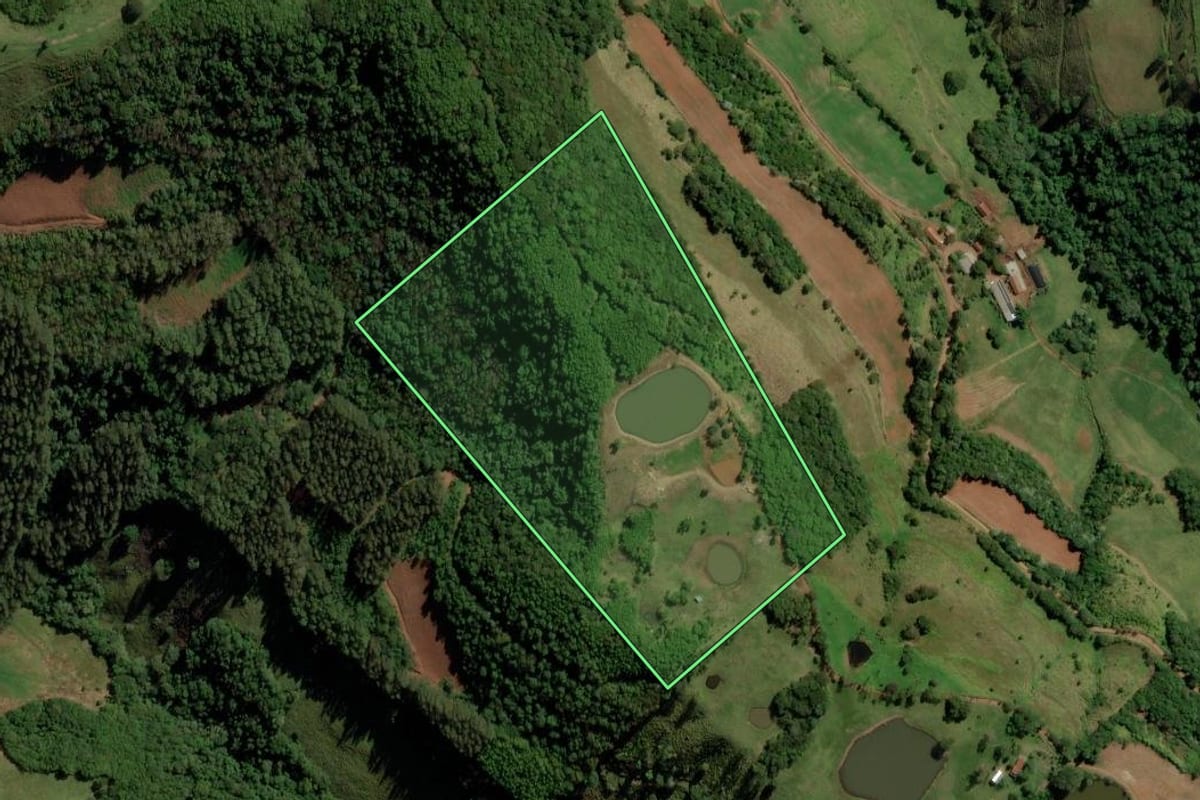 Imagem de satélite do imóvel rural em Anchieta (SC), com o contorno declarado no CAR desenhado por cima.