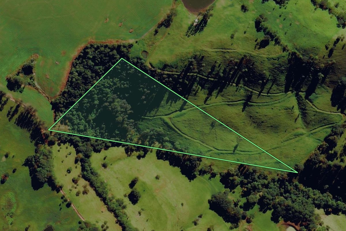Imagem de satélite do imóvel rural em Anchieta (SC), com o contorno declarado no CAR desenhado por cima.