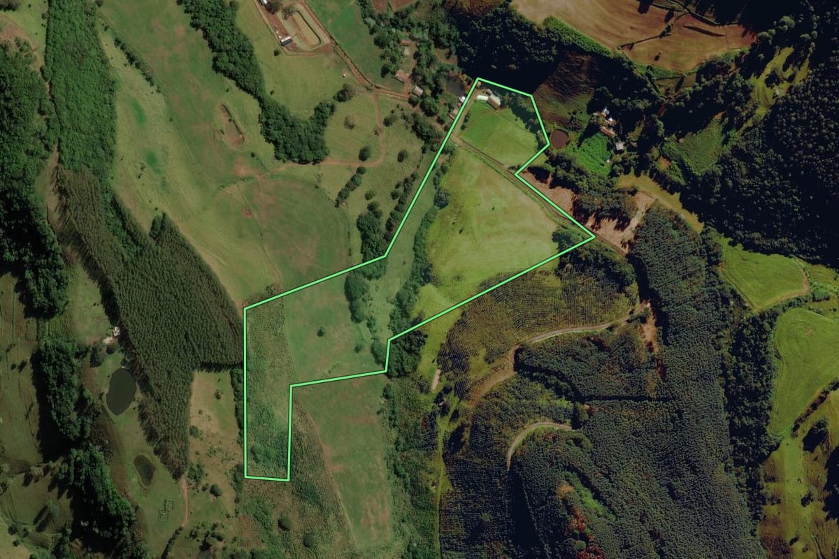 Imagem de satélite do imóvel rural em Anchieta (SC), com o contorno declarado no CAR desenhado por cima.