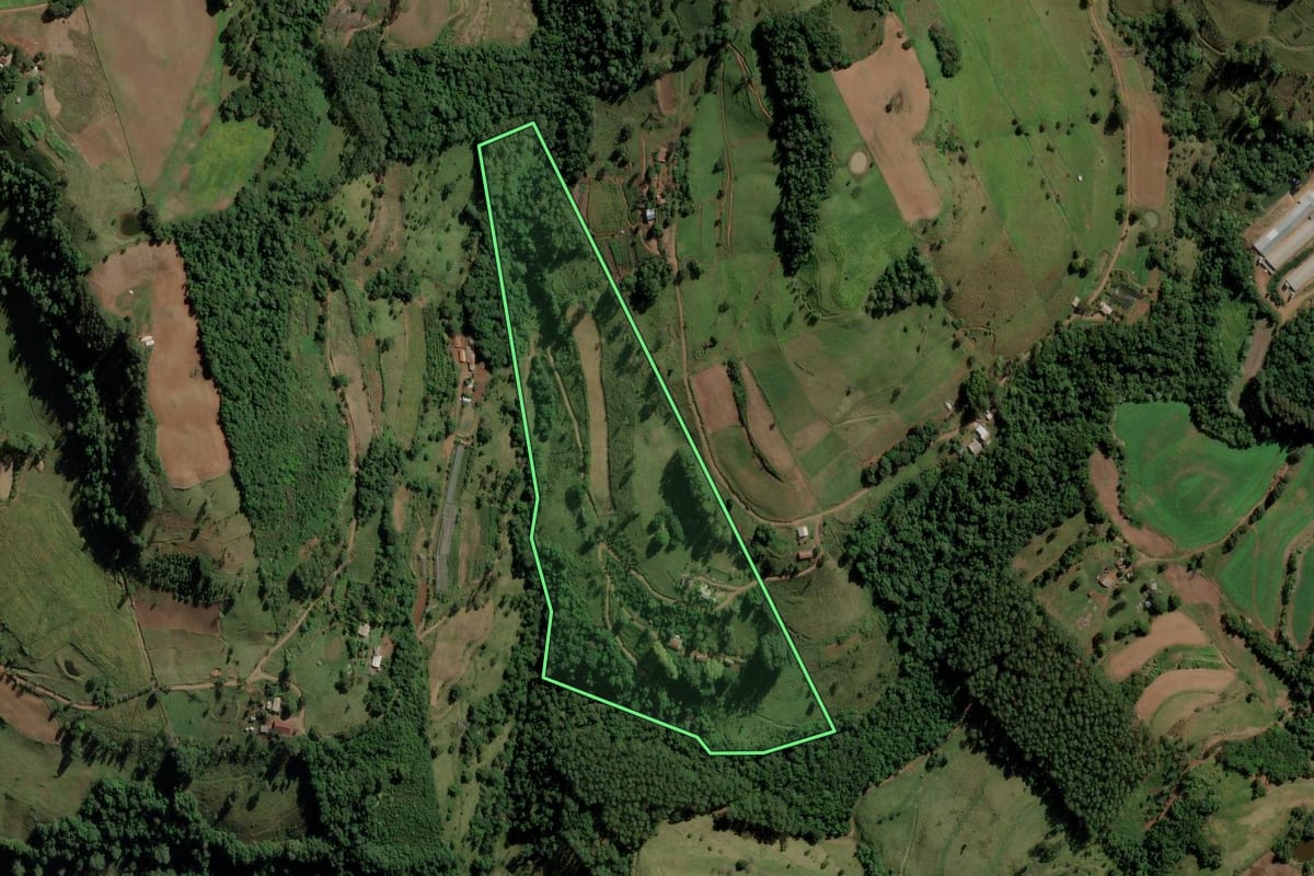 Imagem de satélite do imóvel rural em Anchieta (SC), com o contorno declarado no CAR desenhado por cima.