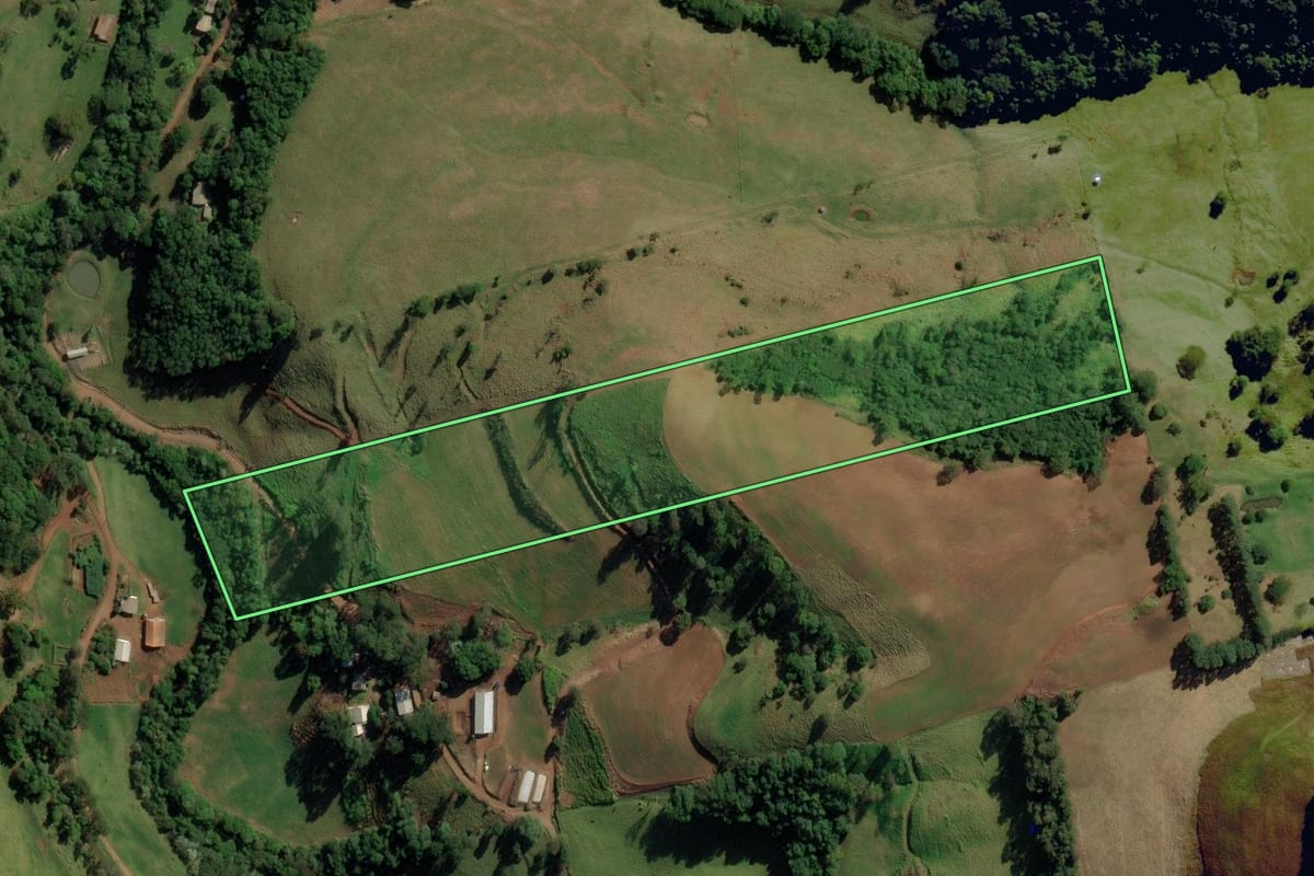 Imagem de satélite do imóvel rural em Anchieta (SC), com o contorno declarado no CAR desenhado por cima.