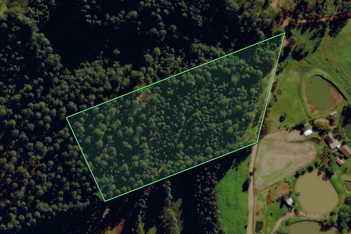 Imagem de satélite do imóvel rural em Anchieta (SC), com o contorno declarado no CAR desenhado por cima.