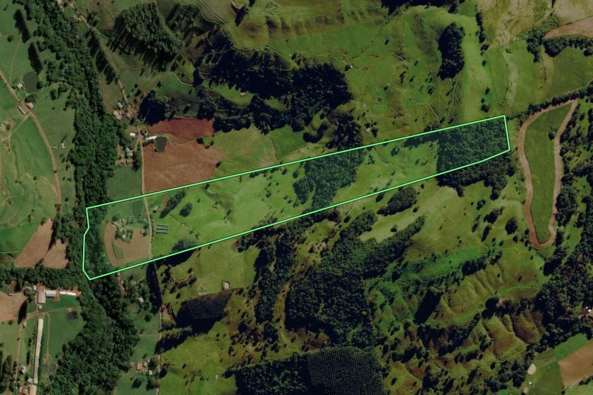Imagem de satélite do imóvel rural em Anchieta (SC), com o contorno declarado no CAR desenhado por cima.