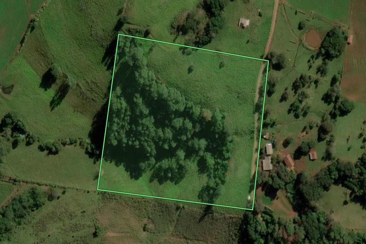 Imagem de satélite do imóvel rural em Anchieta (SC), com o contorno declarado no CAR desenhado por cima.