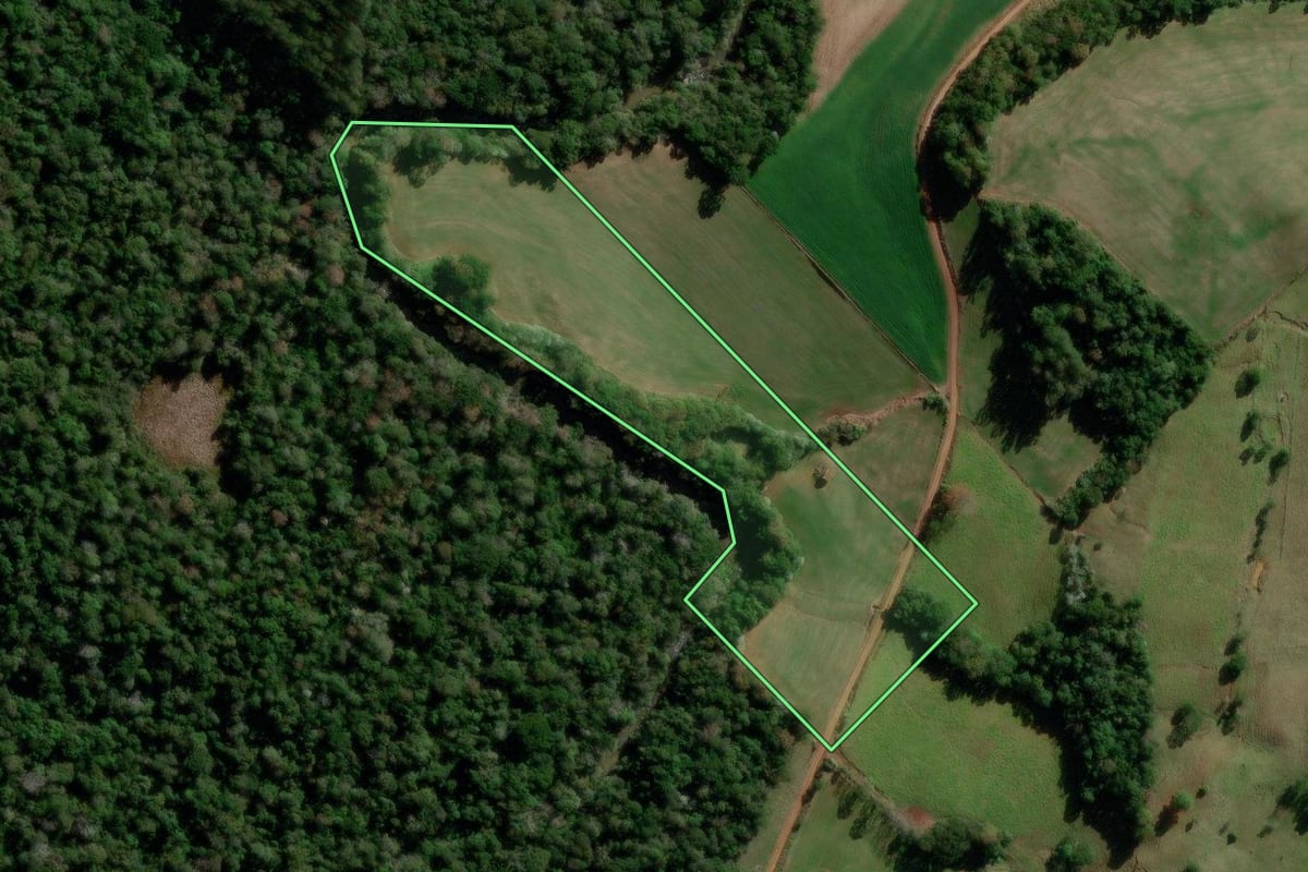 Imagem de satélite do imóvel rural em Anchieta (SC), com o contorno declarado no CAR desenhado por cima.