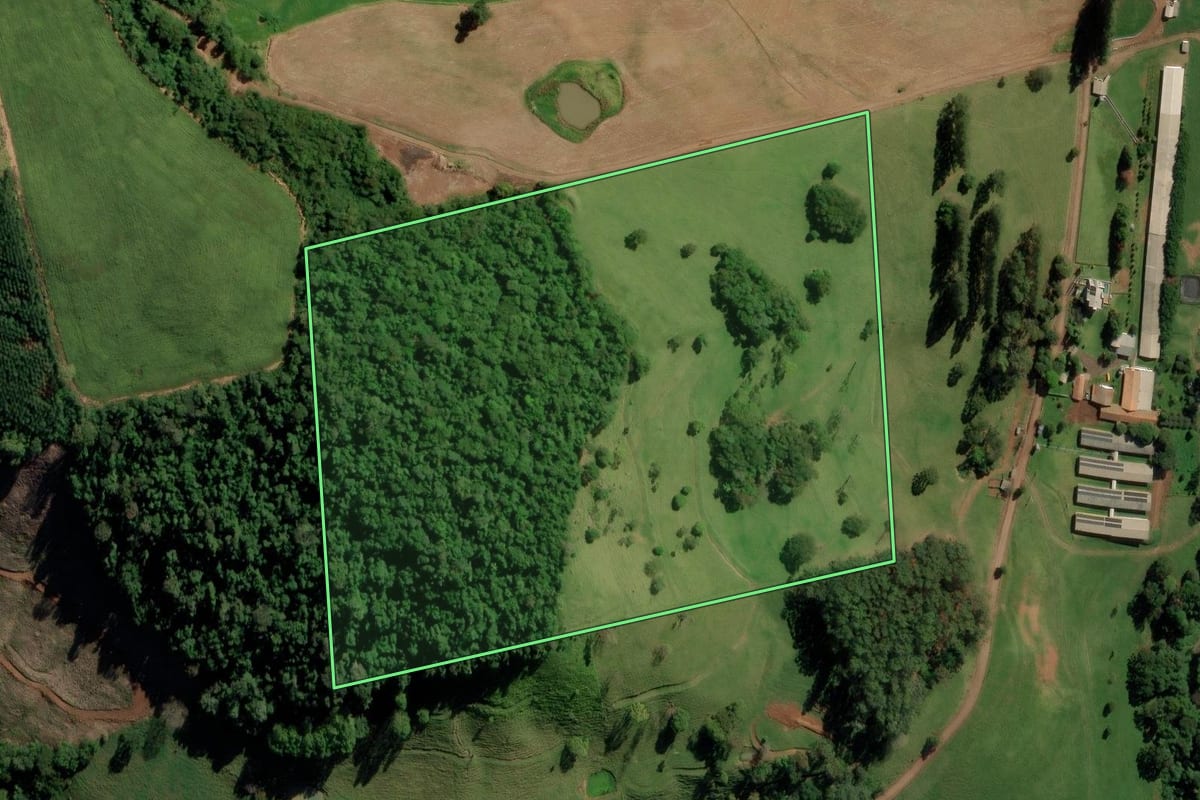 Imagem de satélite do imóvel rural em Anchieta (SC), com o contorno declarado no CAR desenhado por cima.
