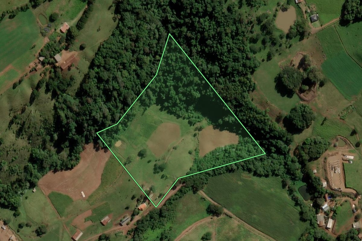Imagem de satélite do imóvel rural em Anchieta (SC), com o contorno declarado no CAR desenhado por cima.